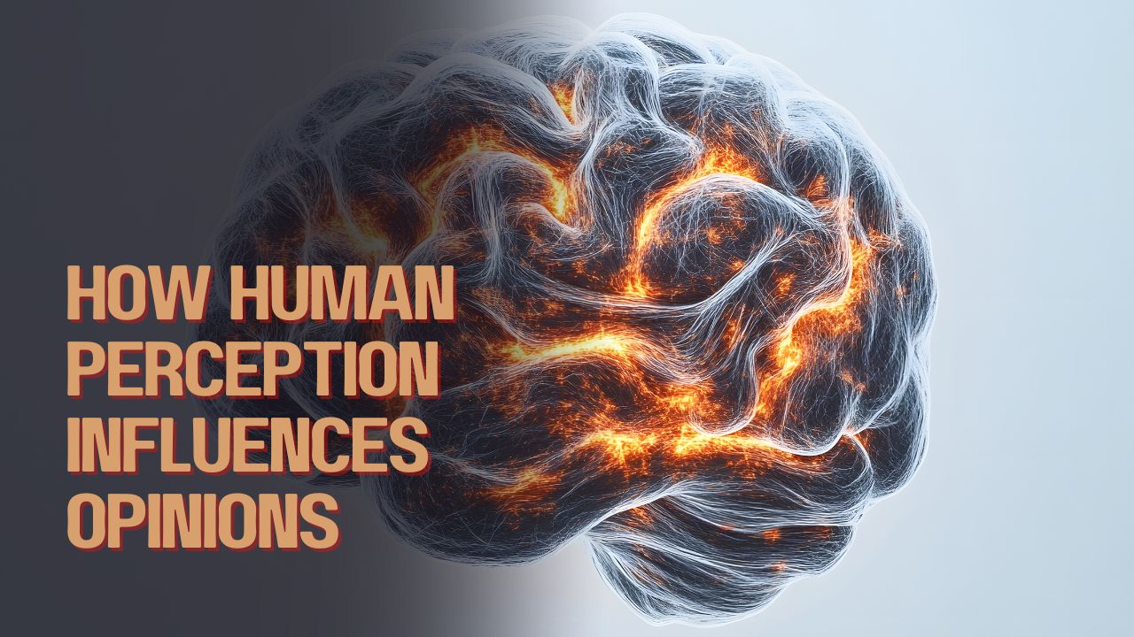 How Human Perception Influences Opinions